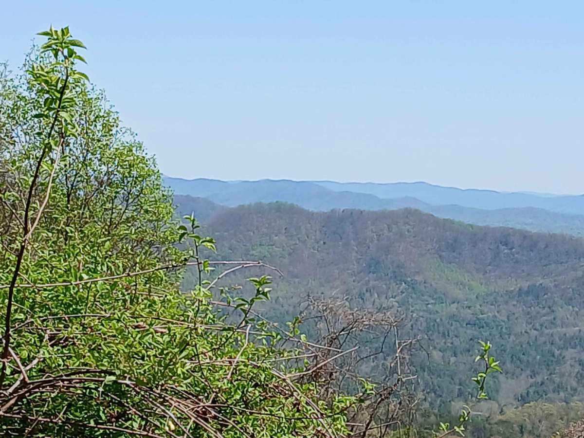 Maple Sally trail photo