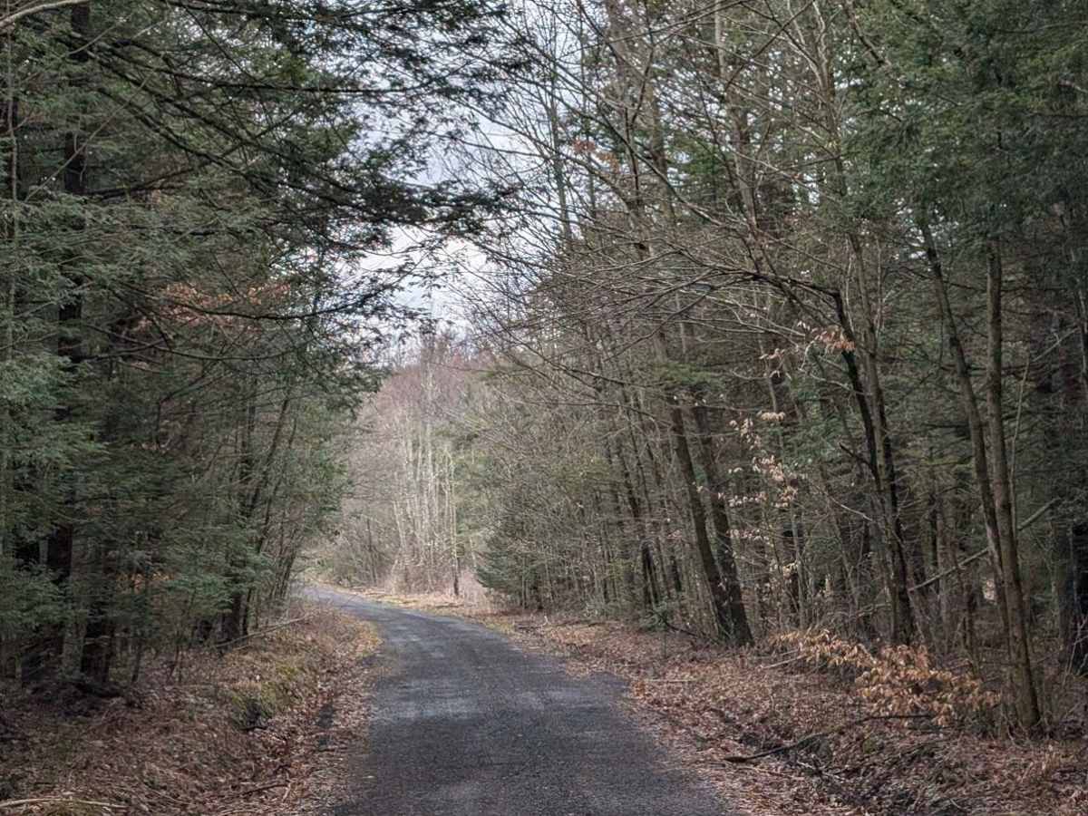 Gould Road photo 3