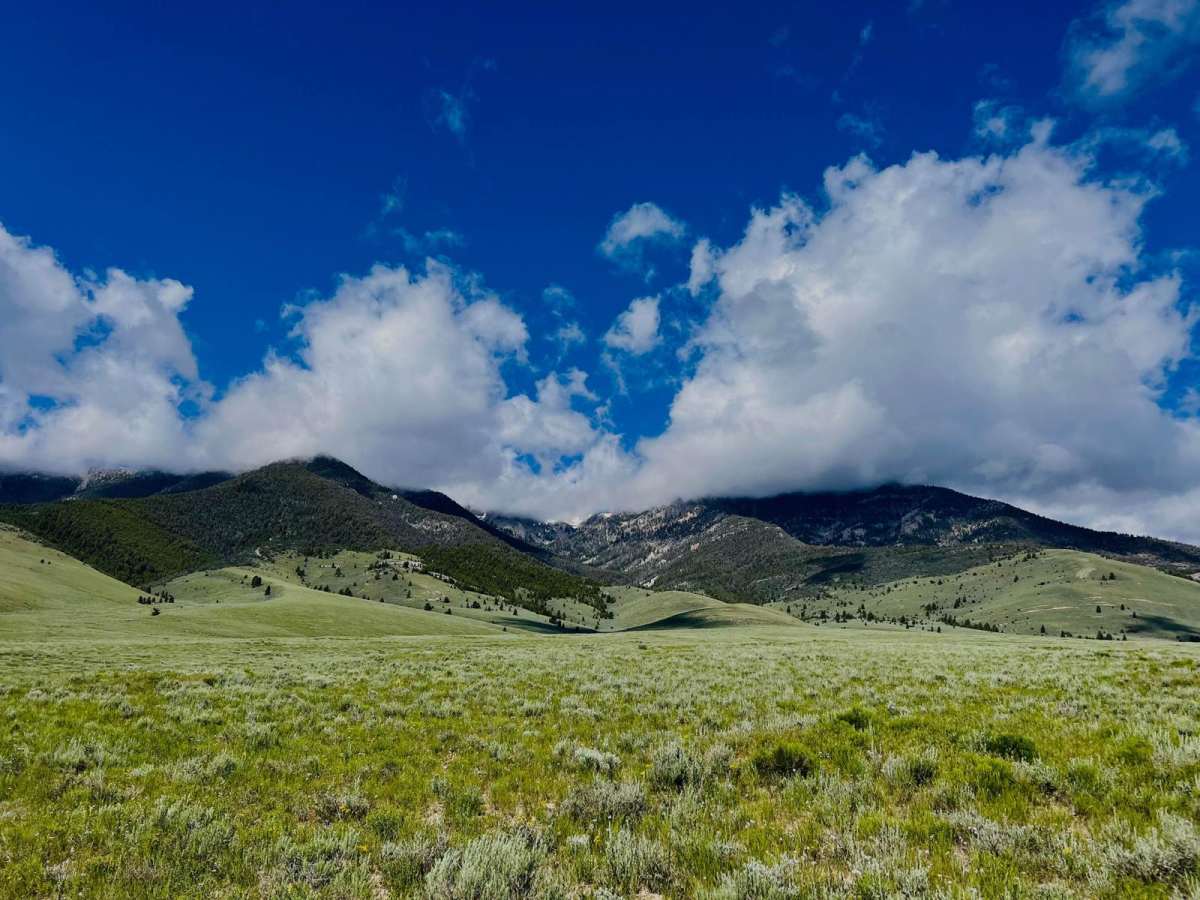 South Foothill Road trail photo