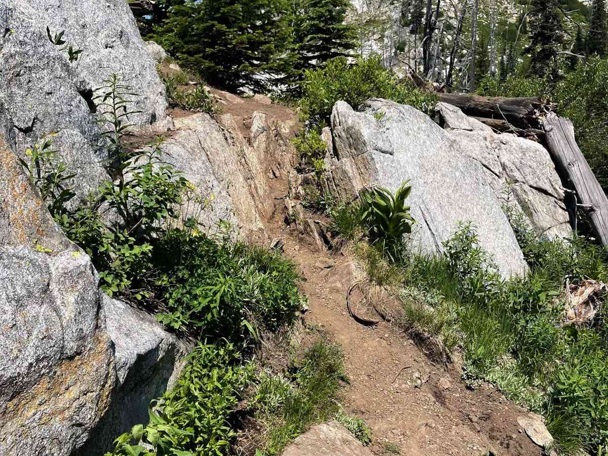 Hard Creek Basin trail photo