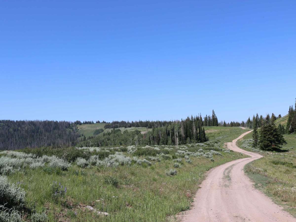 Heber Mountain Spur 1 - FS 70055 photo 3