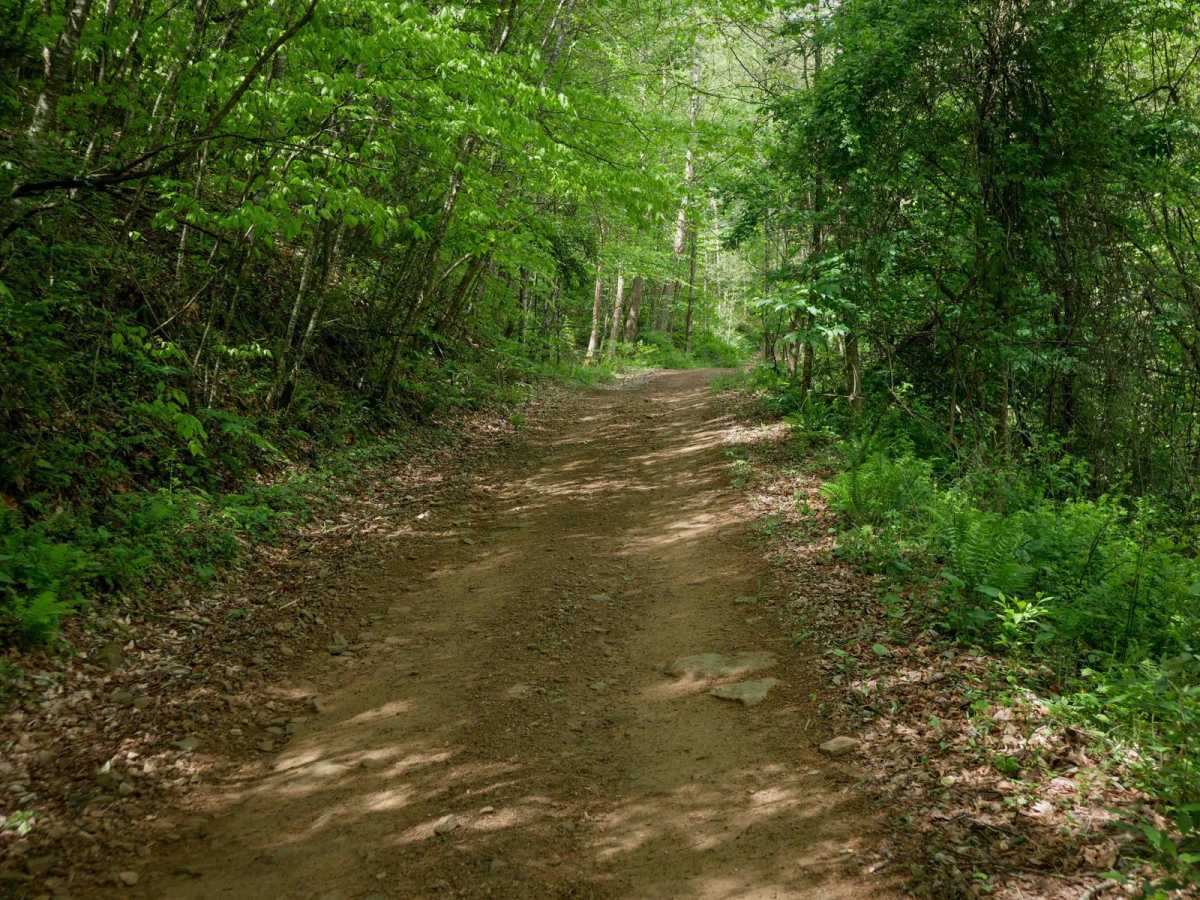 PC 38 trail photo