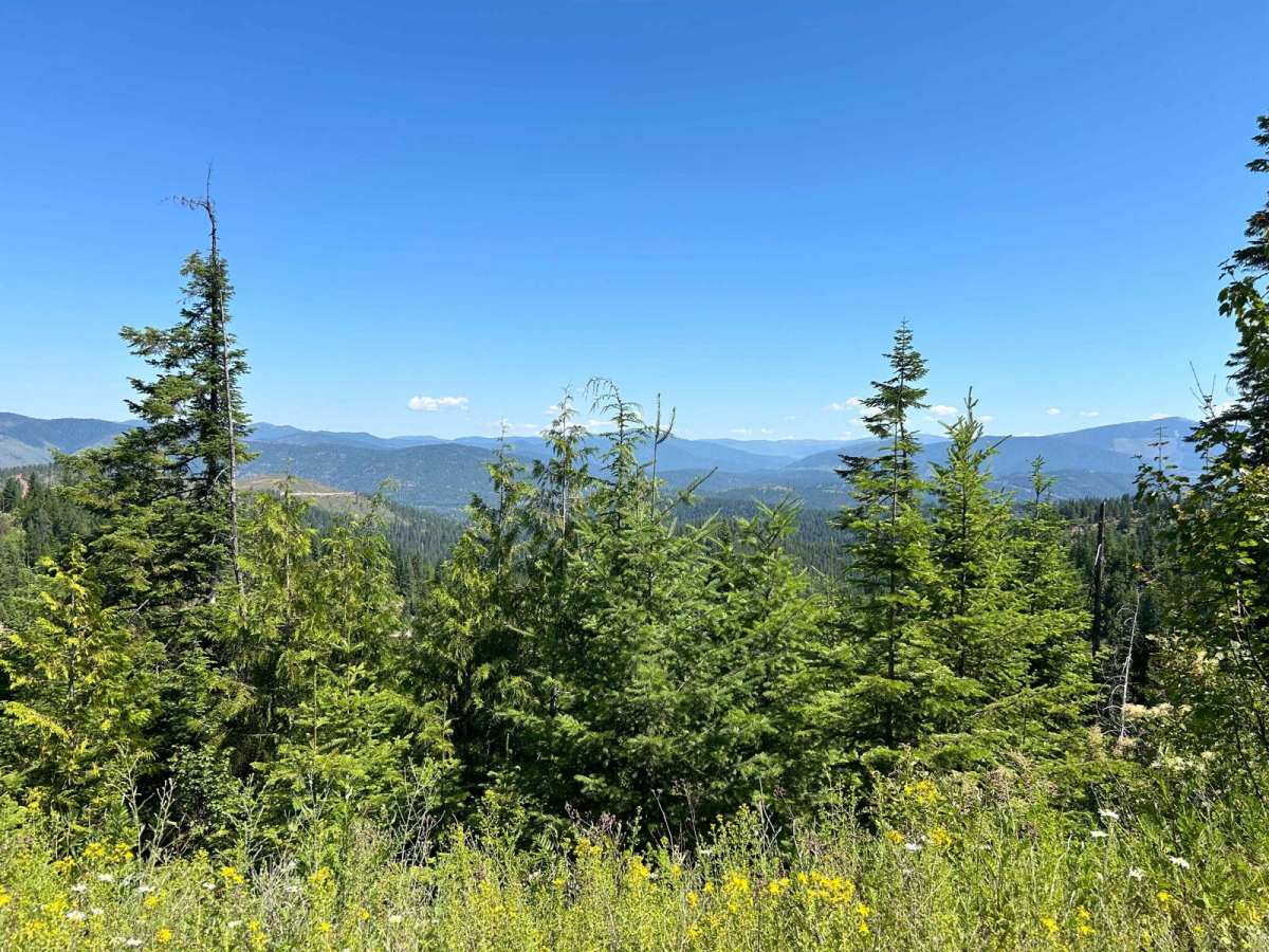 Frost Peak photo 4