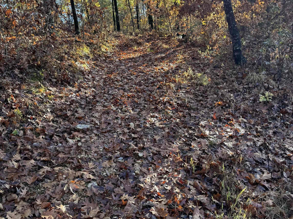 Green 108 trail photo