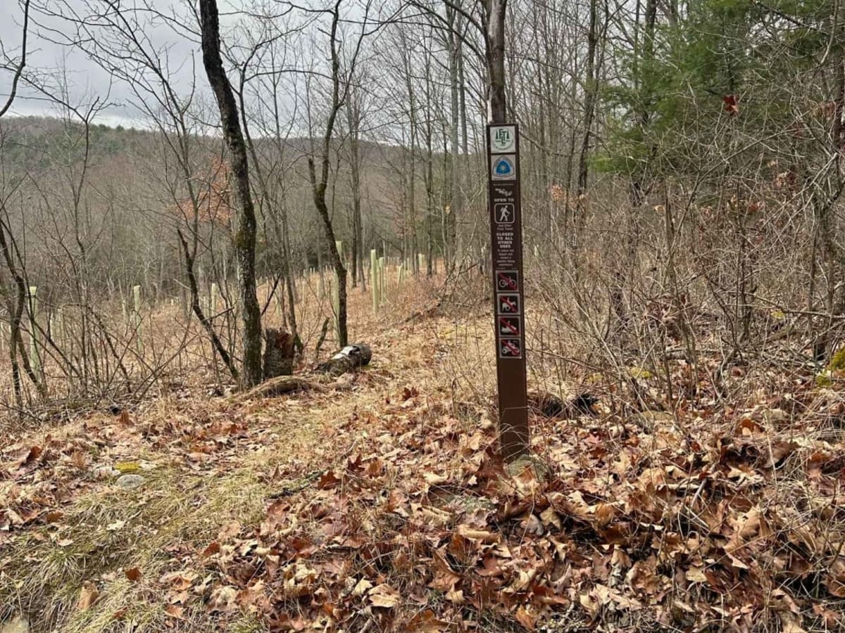 Newton Road (Seasonal) trail photo