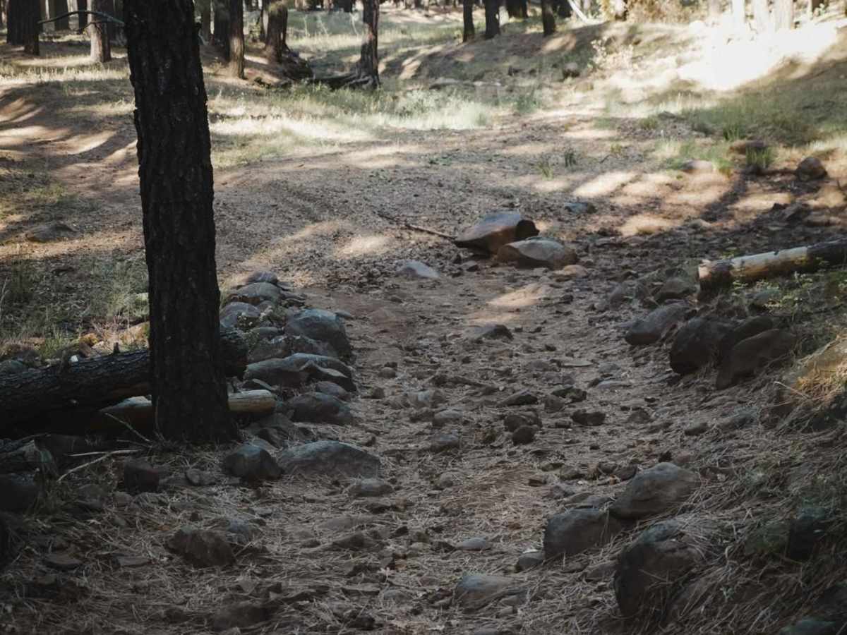Frog Tank Loop photo 3