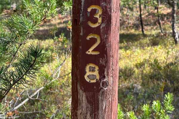 FS 2328