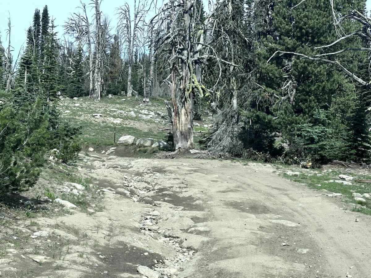 Brundage Outlook Spur photo 3