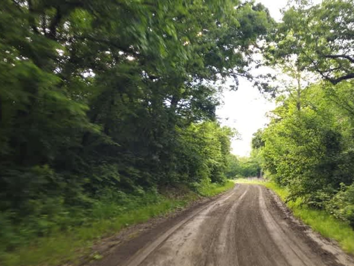 Clapboard Ravine photo 5