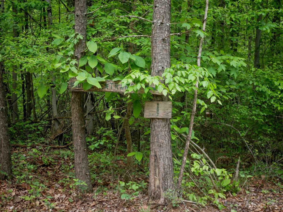 Trail 1 photo 3