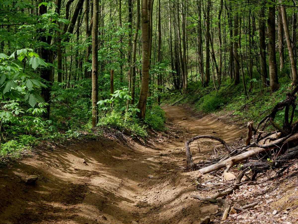 IR 85 trail photo