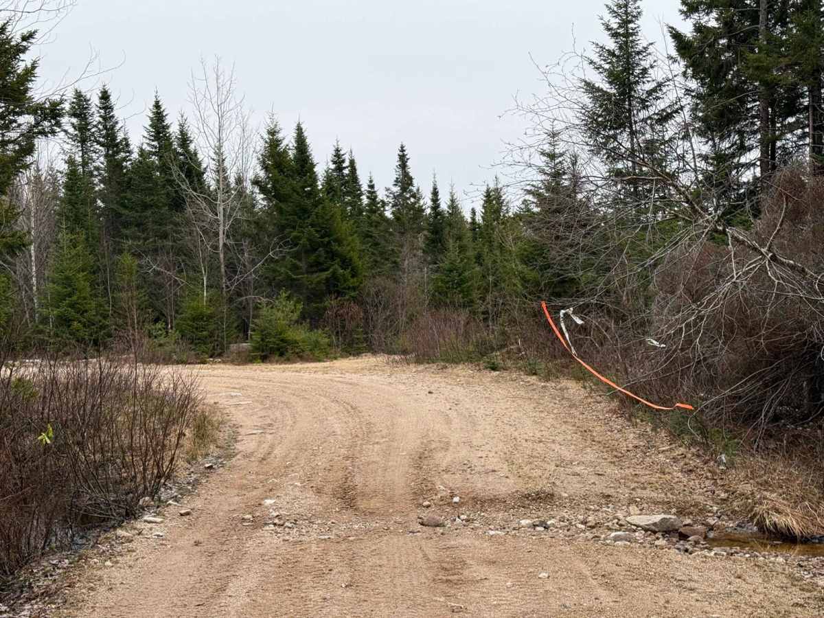 Plane Crash Trail photo 4