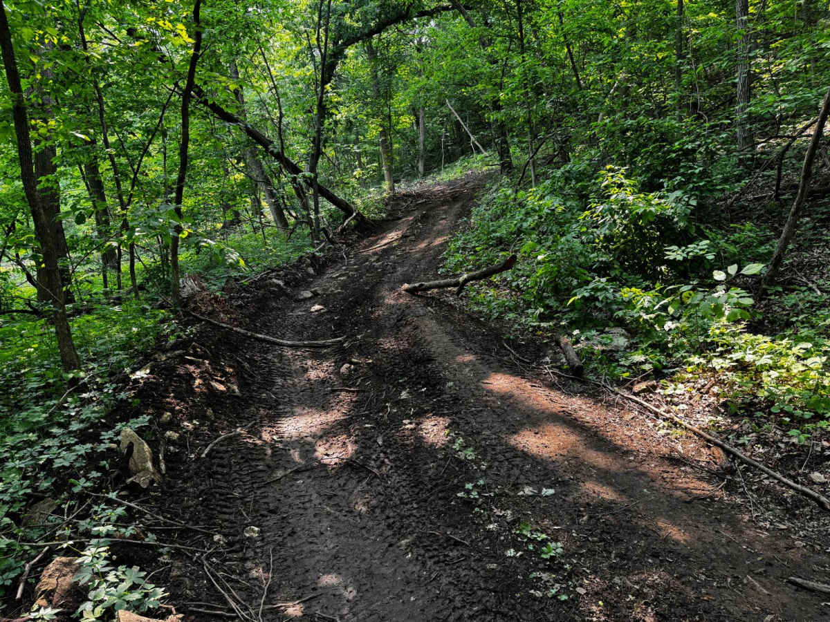 Green 128 photo 3
