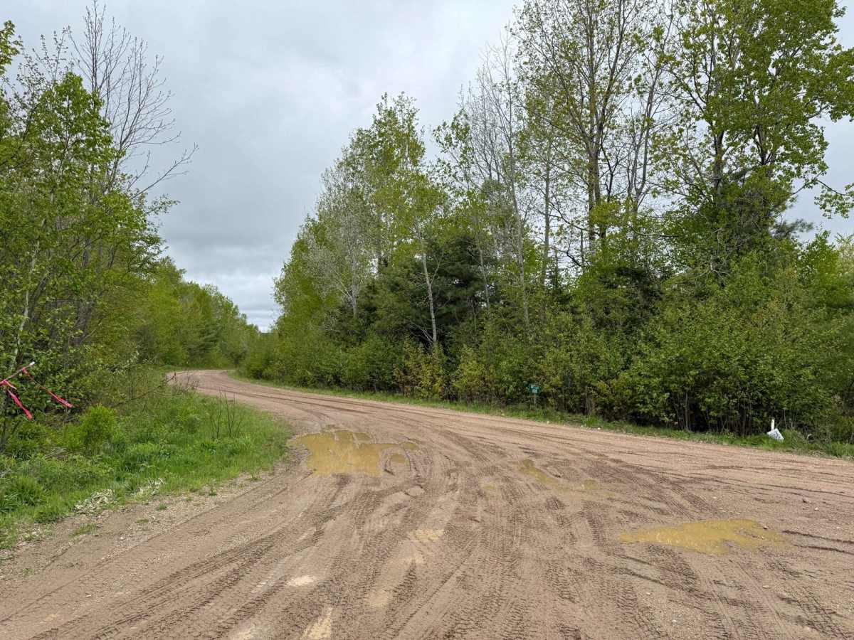 Butler Road photo 2