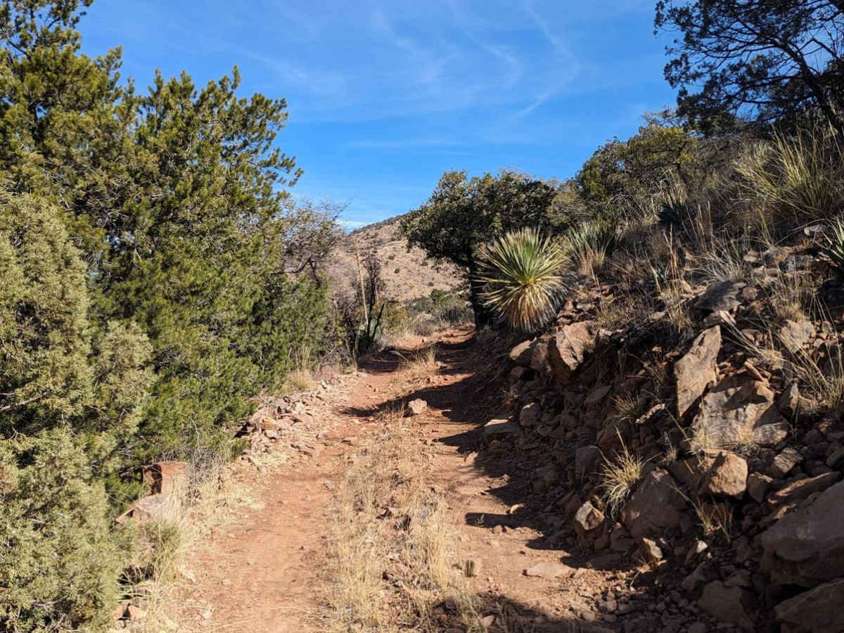 Coal Mine Road FR-4859 trail photo