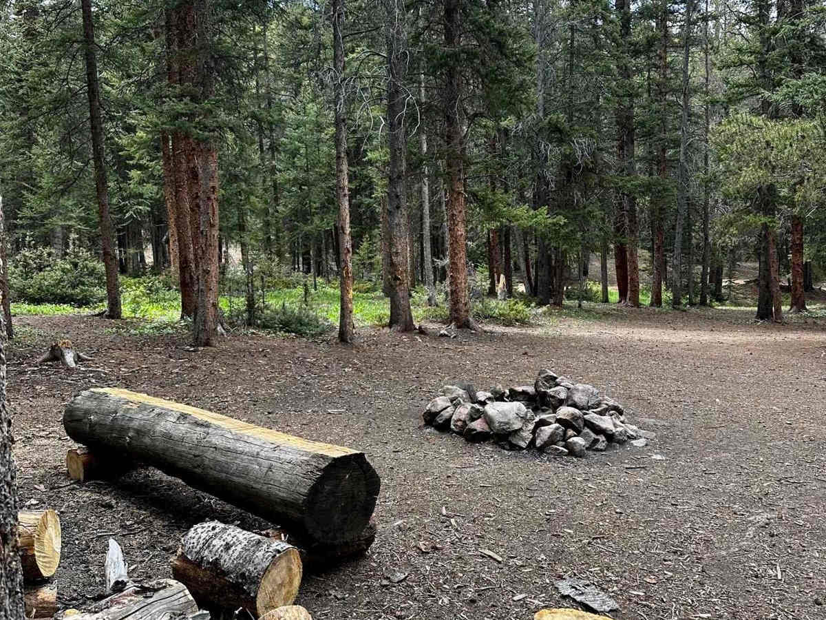 North Beaver Creek (FS 123A) trail photo