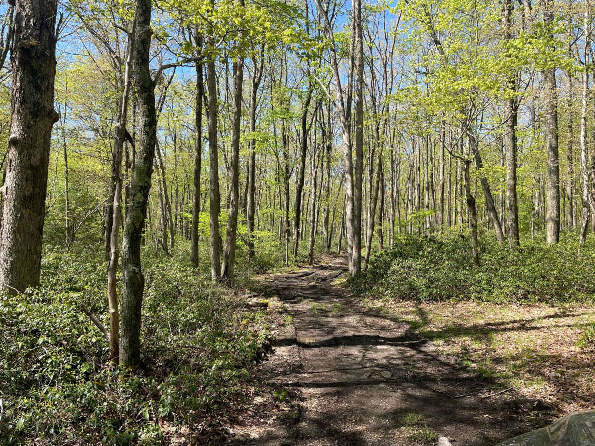 Little Poe Trail photo 3