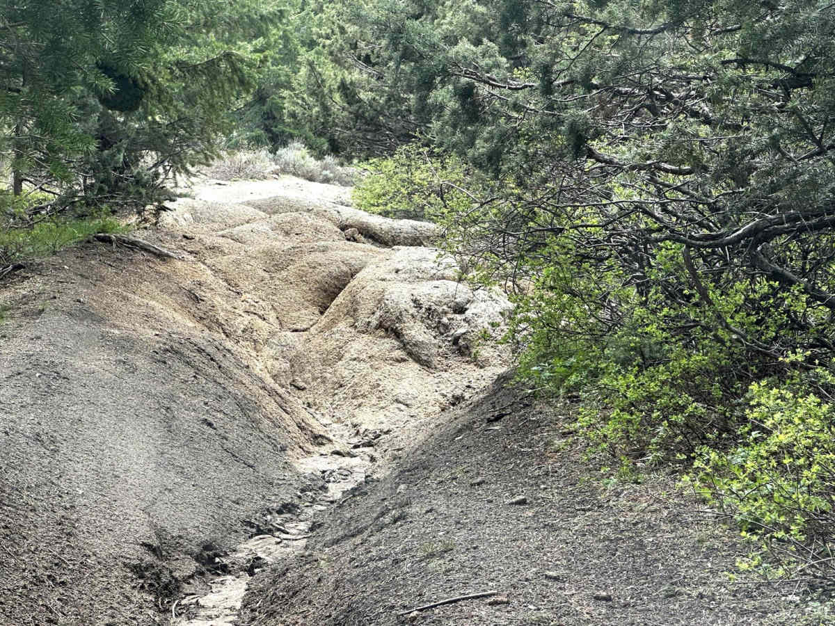 Presby Creek Trail photo 3