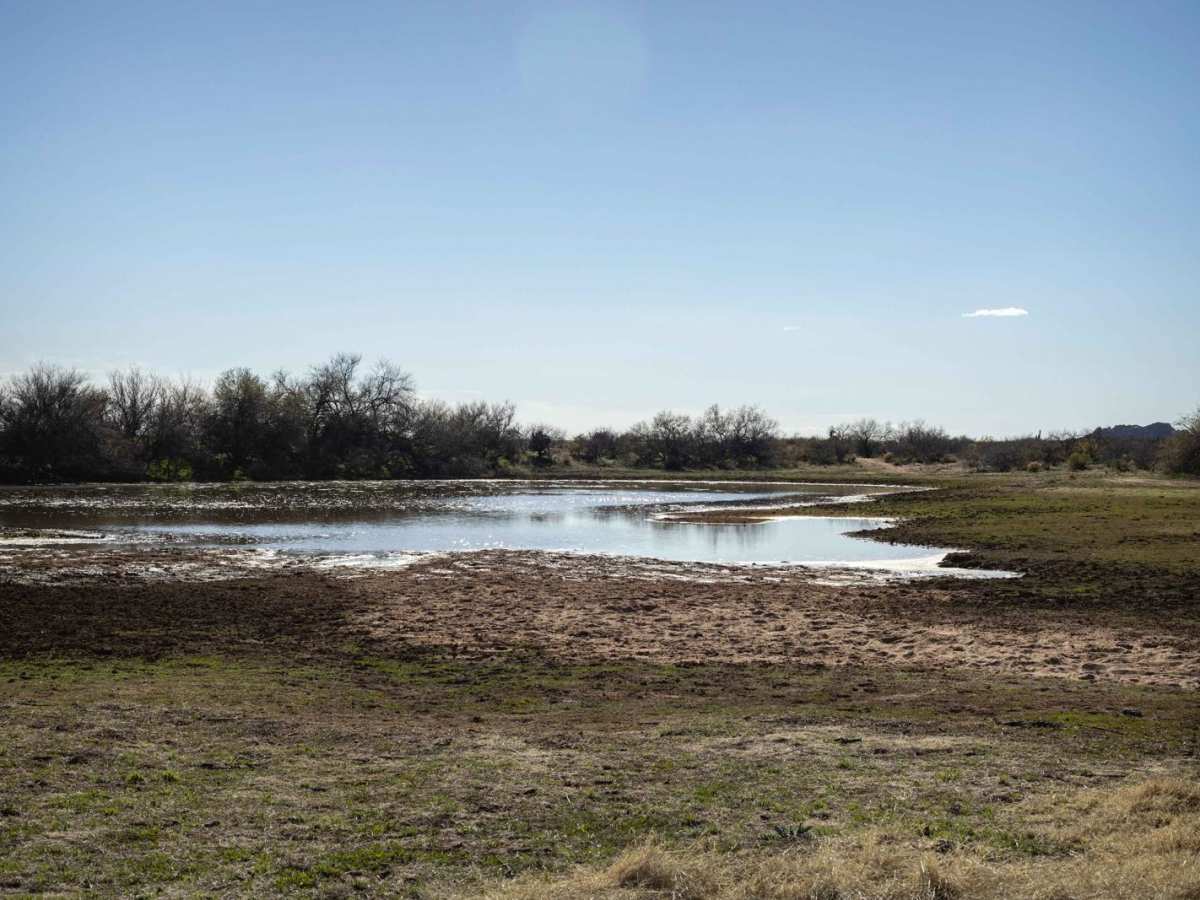Date Creek Foothill photo 5