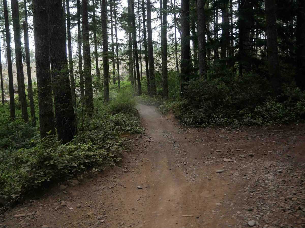Staging Access Trail photo 2