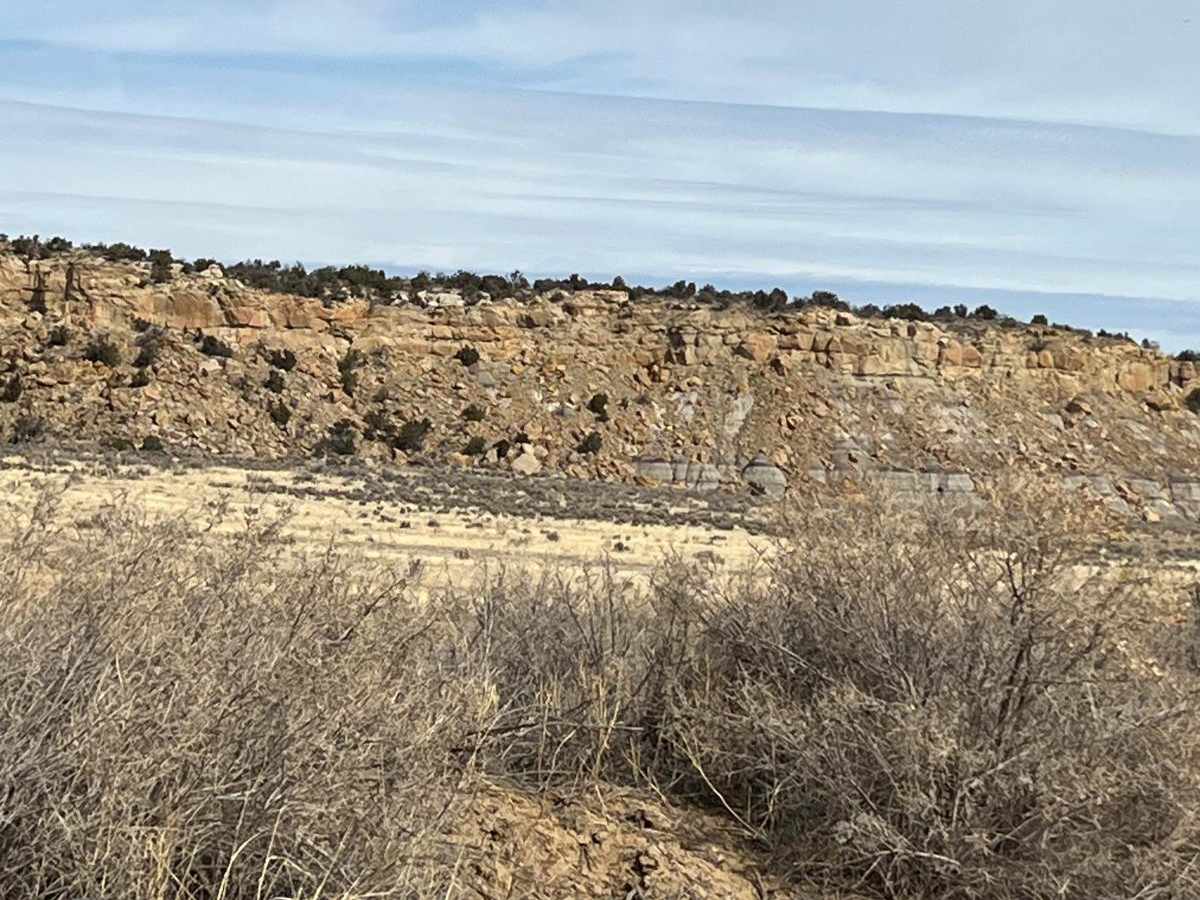 Middle Largo Canyon photo 4