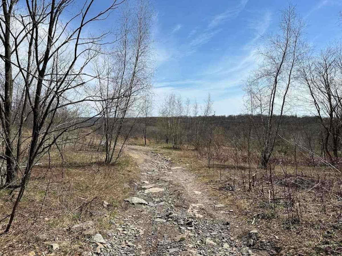 St. Keirns 50 trail photo
