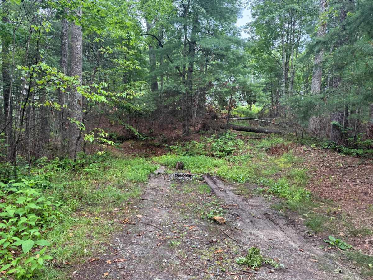 Watauga Turnpike - FS 45 photo 6