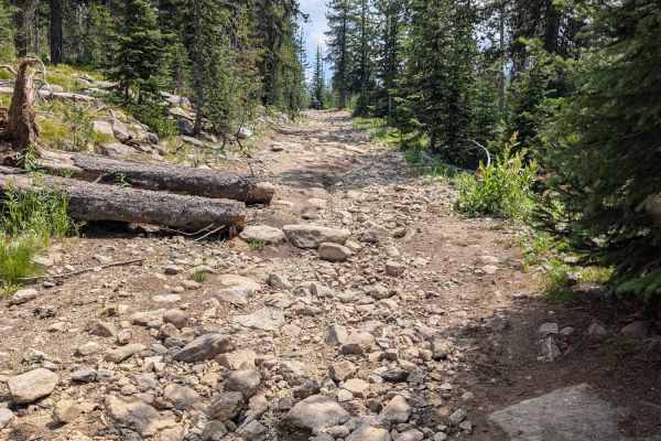 Grouse Creek - Marshall Mountain Road - FS 325
