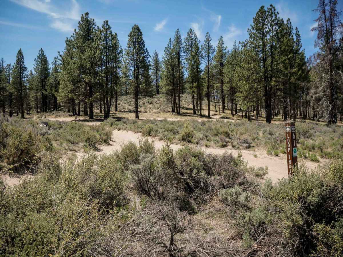 Learner's Loop trail photo