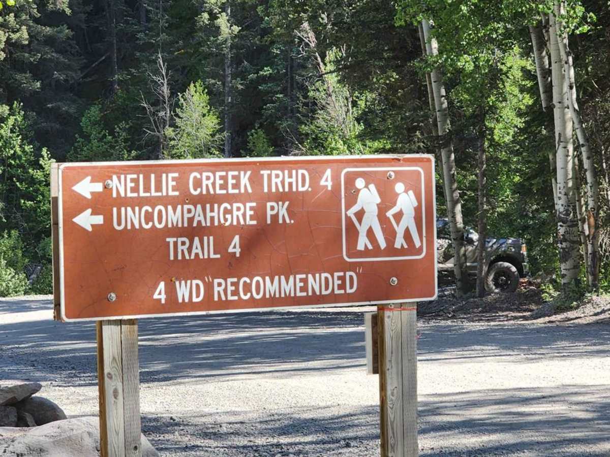 Nellie Creek Road photo 2