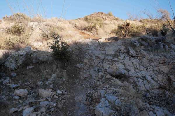 North Castle Singletrack