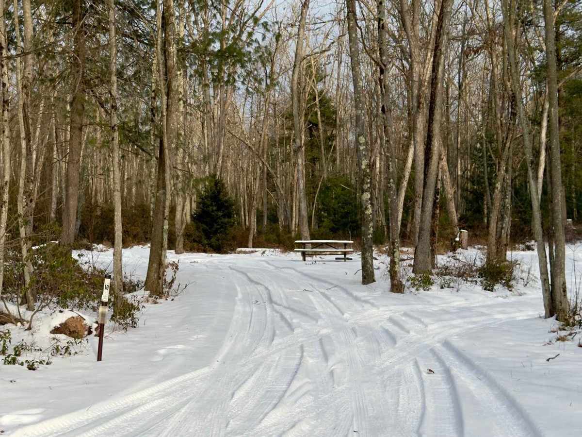 Garden Hollow Road photo 5