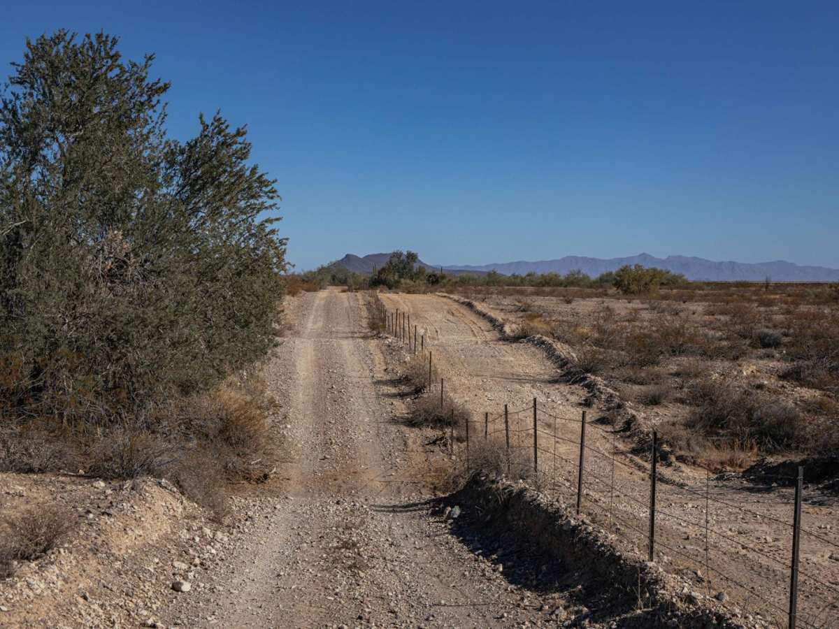 24032 Trail photo 3