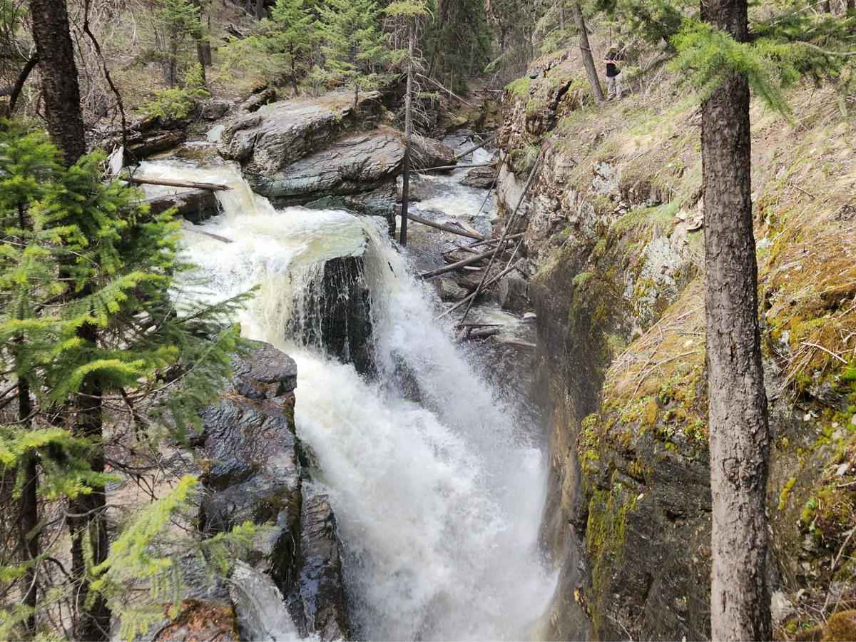 Pinkham Falls Route trail photo