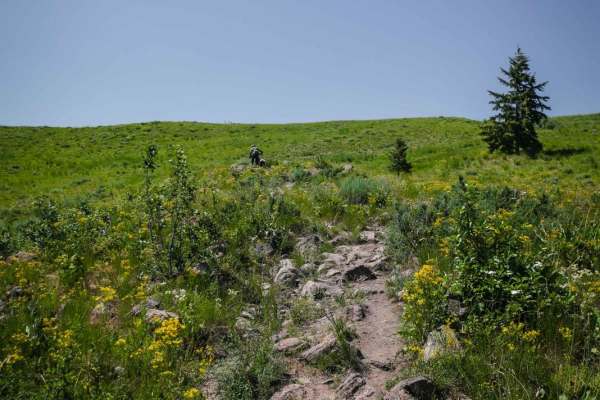 Cow Creek