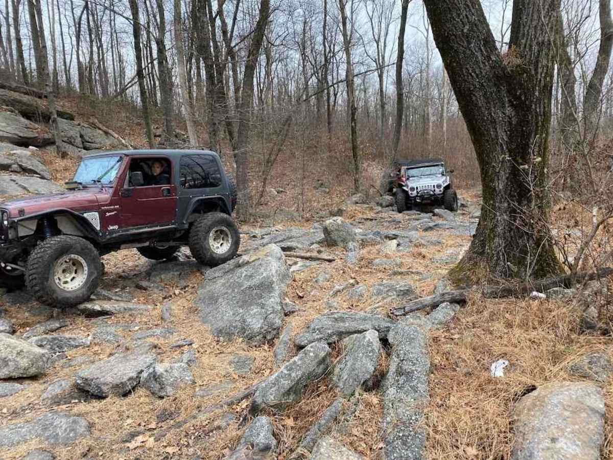 5 Black trail photo