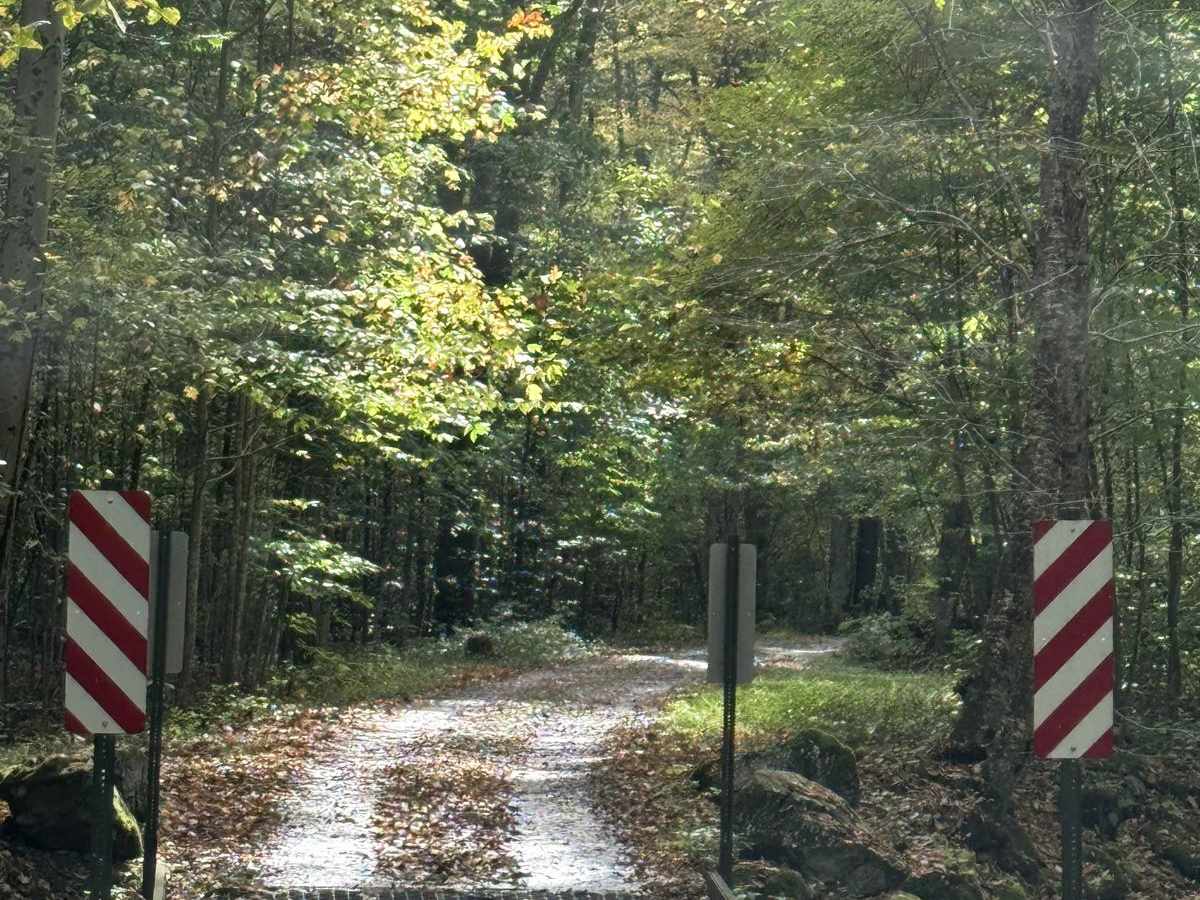 Cucumber Road Loop photo 3