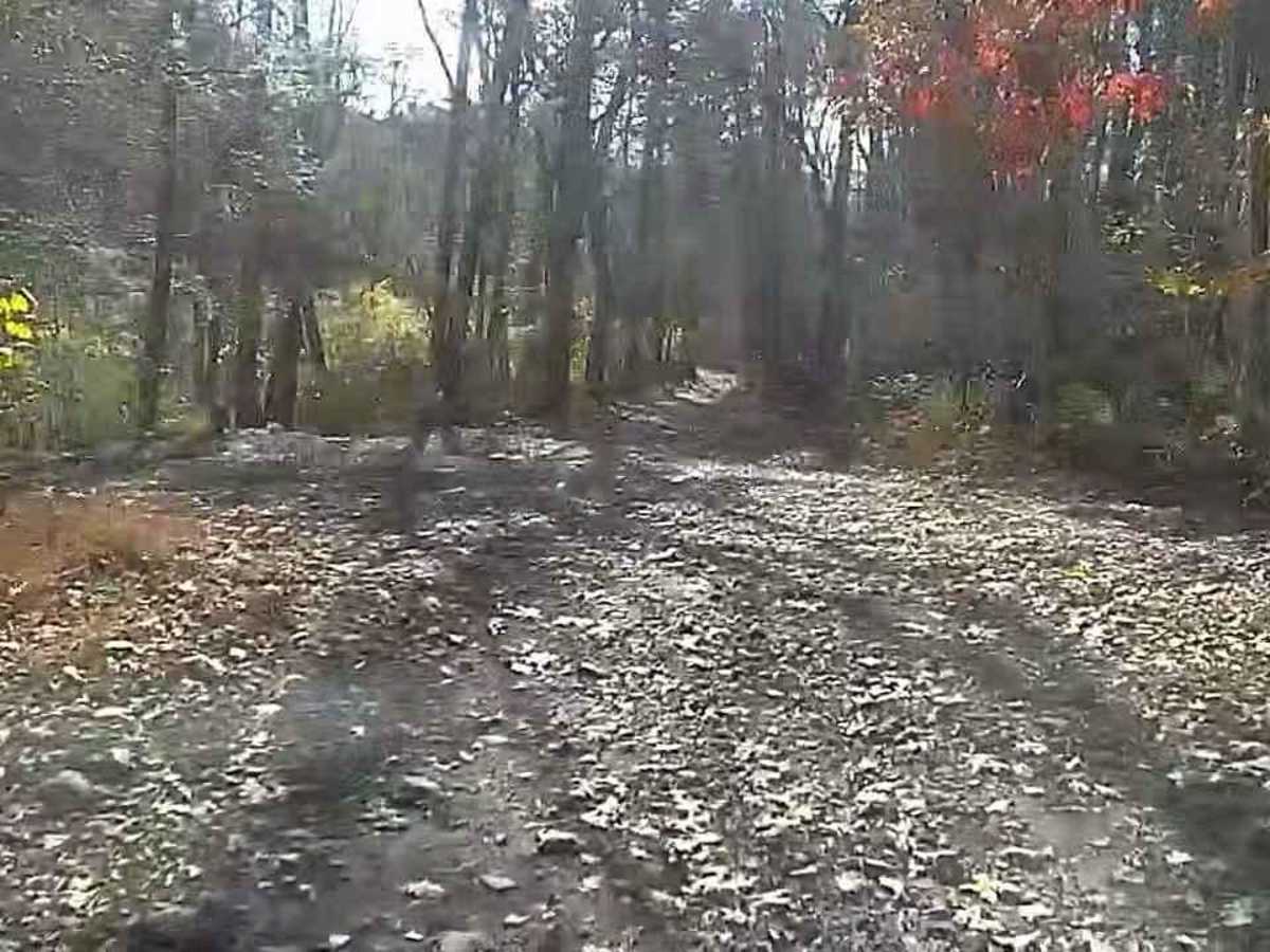 Wakefield Pond & Silver Brook Roads photo 3