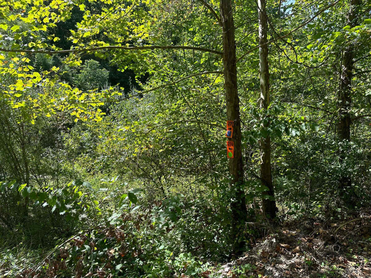 215 trail photo