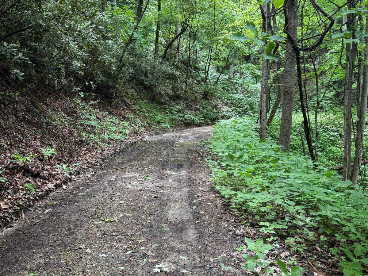 Wolf Creek Road photo 5