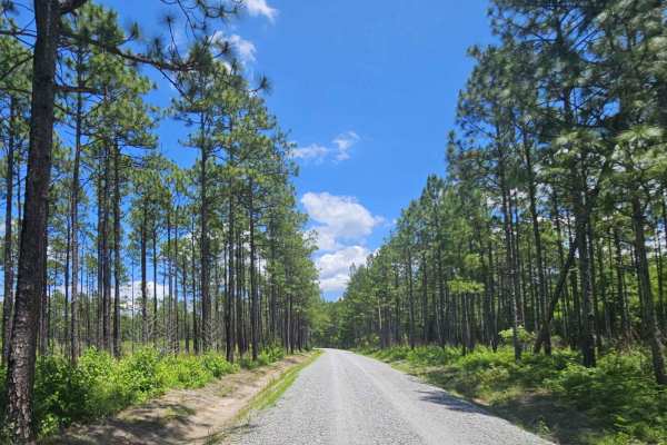 Great Lake Road (126)
