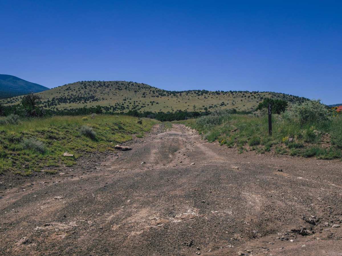 Reese Canyon trail photo