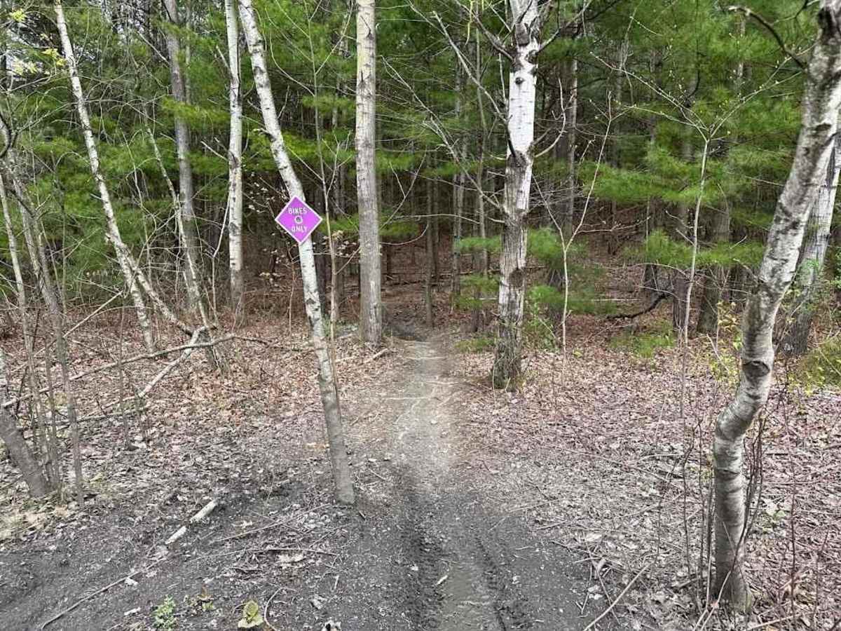 St. Keirns Single Track 6 photo 3