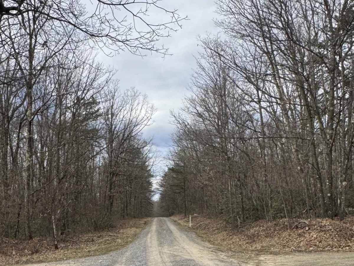State Line Road photo 6