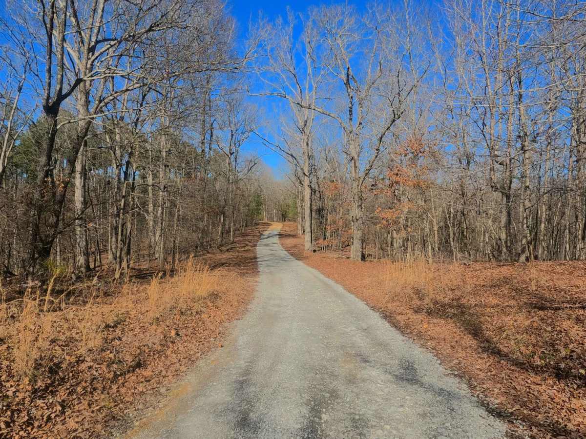 Woodland Road - FS 314 trail photo