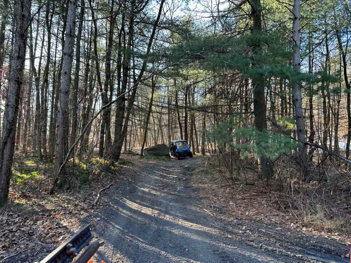 Locust Gap 17 trail photo