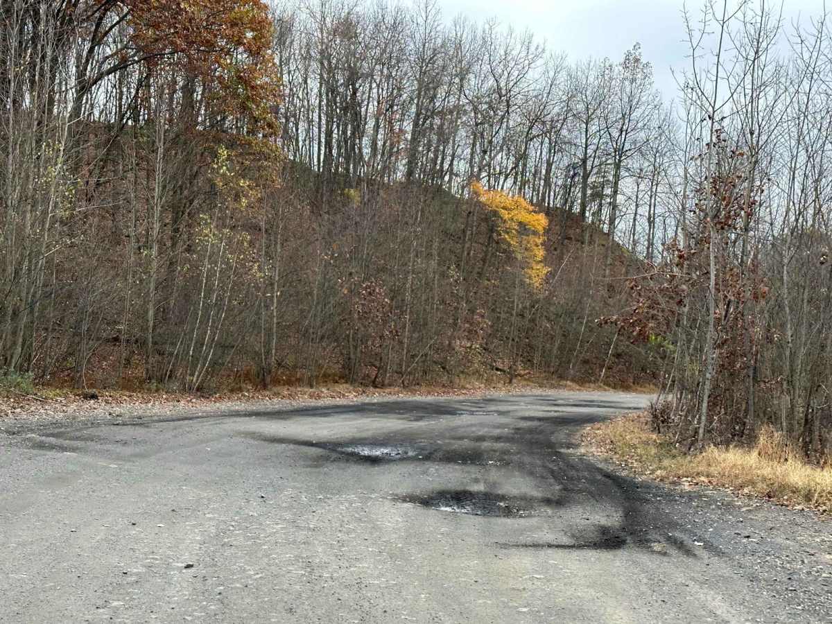133C trail photo