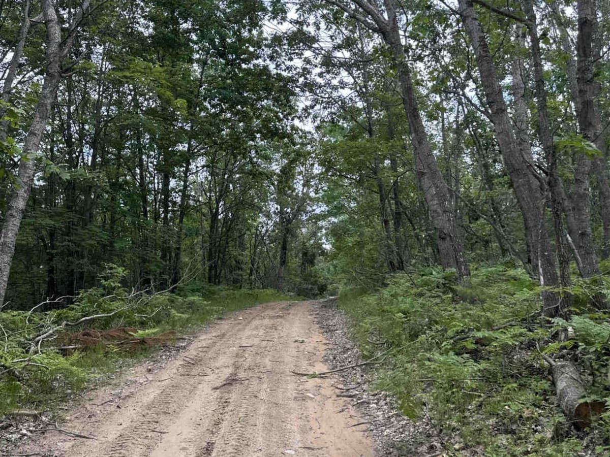 LP 9 to Elk Road photo 4