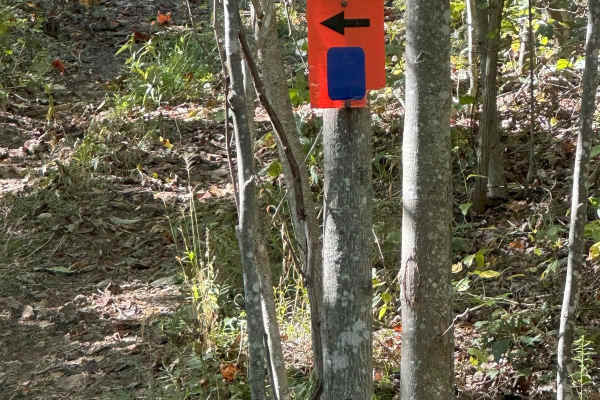 133A