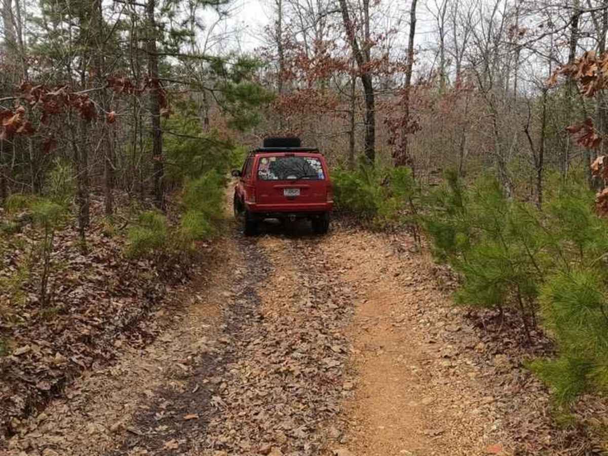 Pine Union Hilltop FSR 2137 trail photo